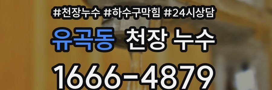 유곡동 천장 누수