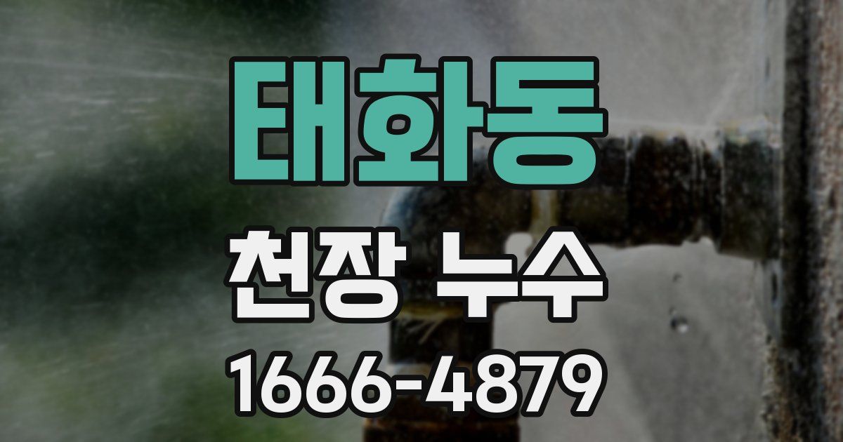 태화동 천장 누수