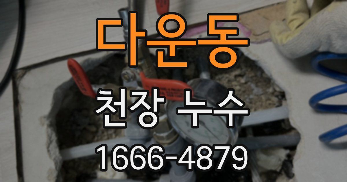 다운동 천장 누수