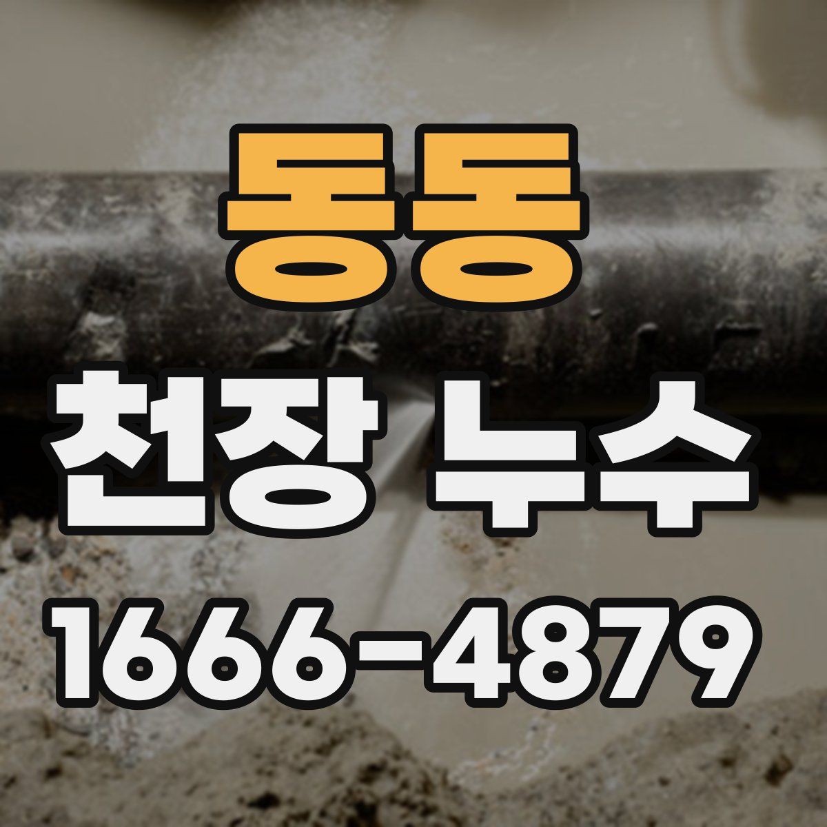 동동 천장 누수