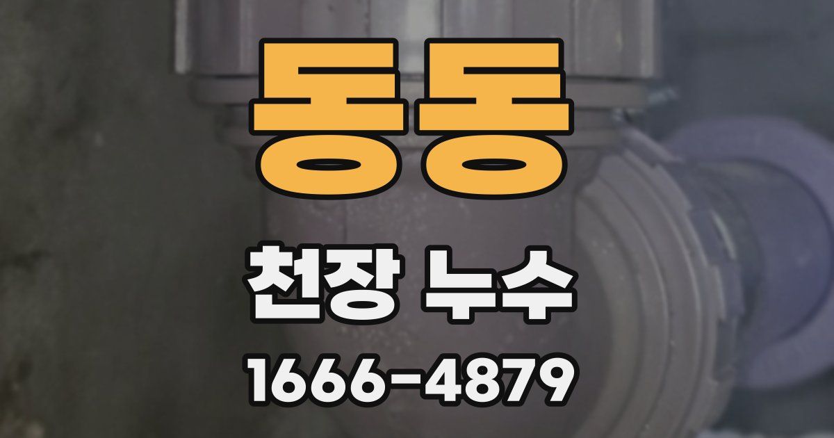 동동 천장 누수