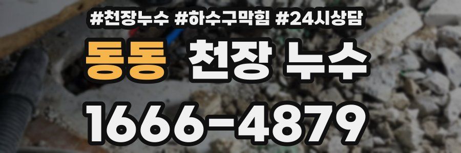 동동 천장 누수