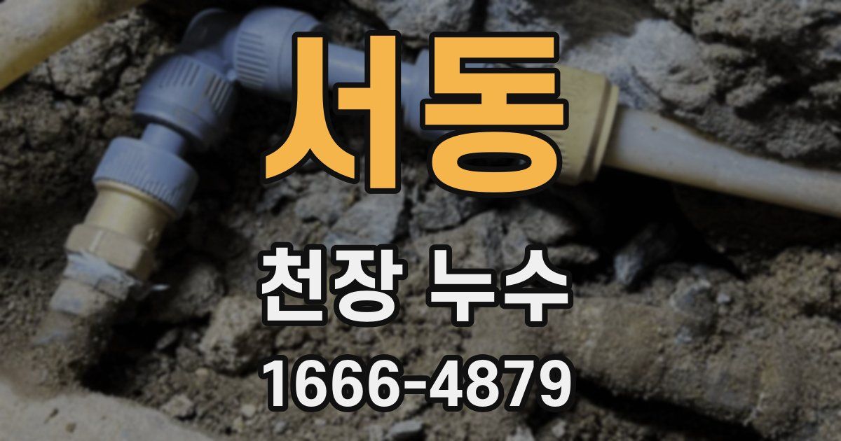 서동 천장 누수