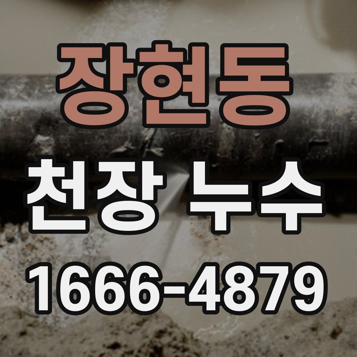 장현동 천장 누수