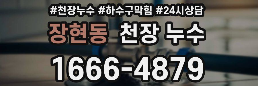 장현동 천장 누수