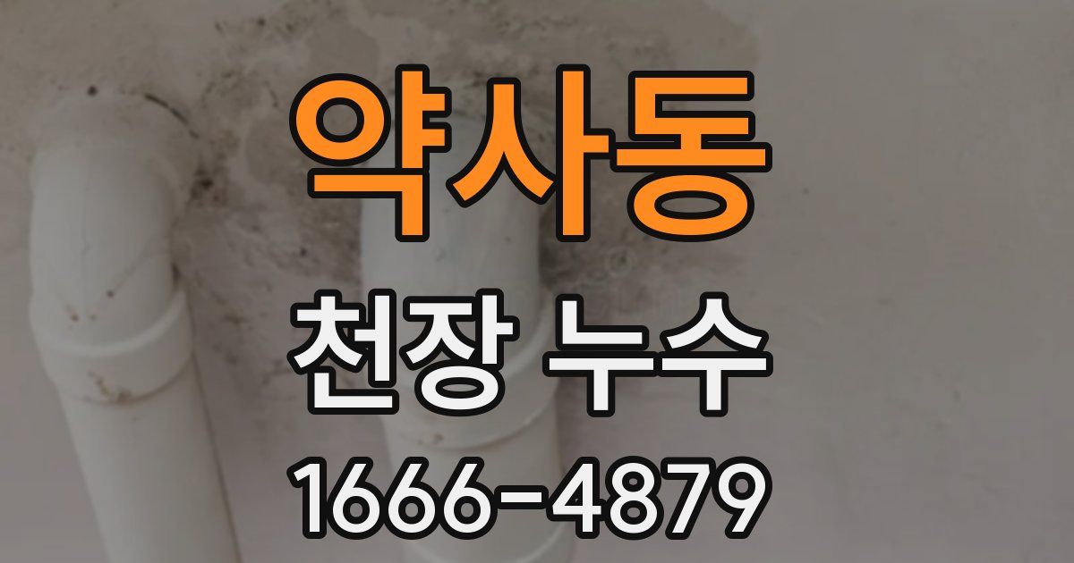 약사동 천장 누수
