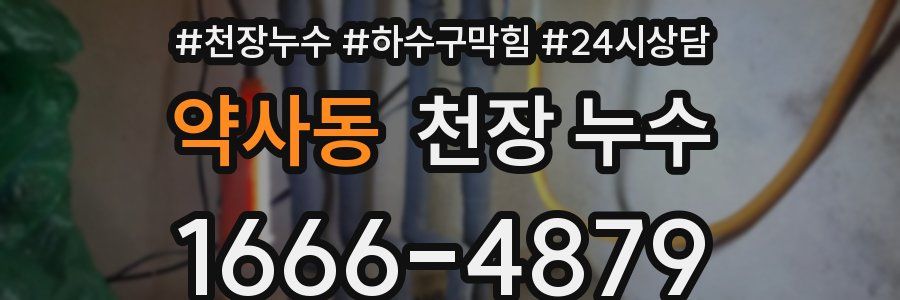 약사동 천장 누수