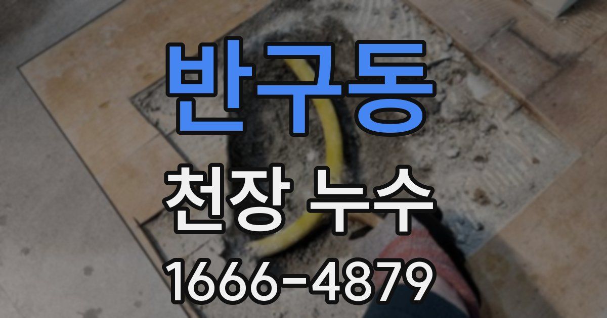 반구동 천장 누수