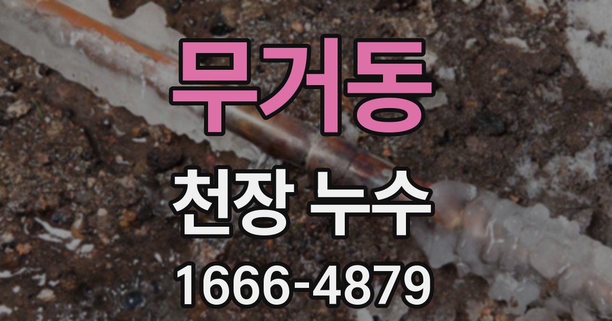 무거동 천장 누수