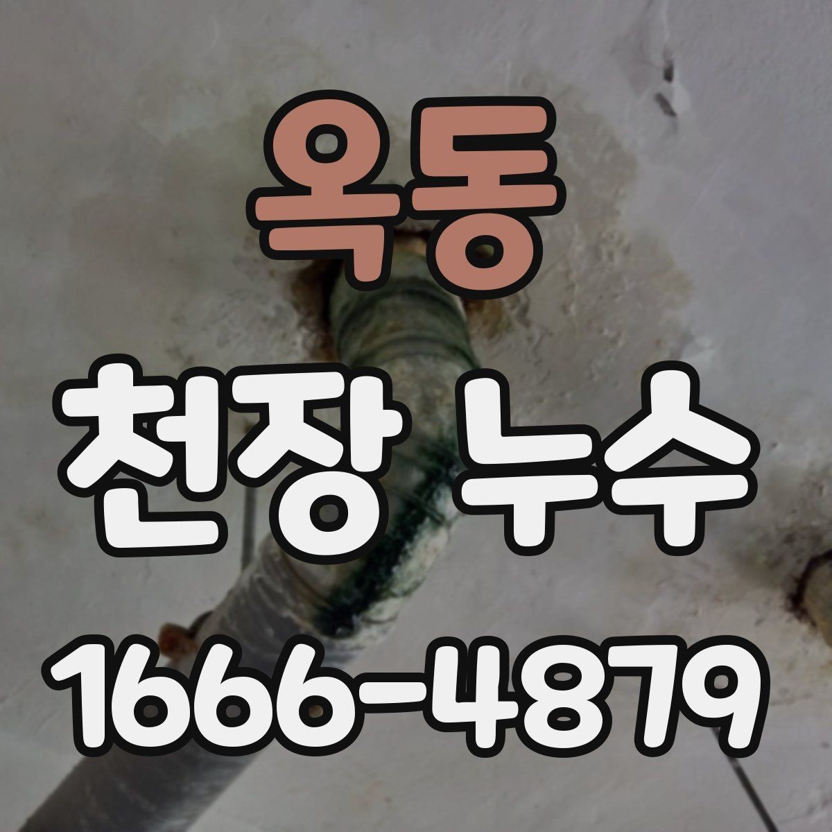 옥동 천장 누수 섣불리 뜯기 전에 원인부터 확인하세요