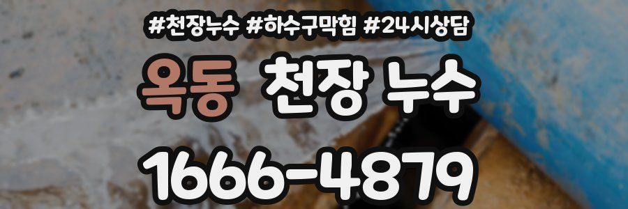 옥동 천장 누수