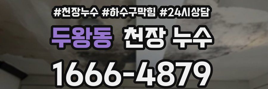두왕동 천장 누수