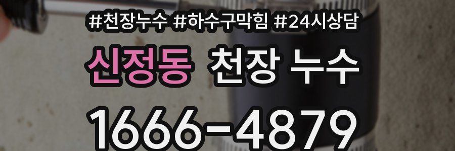 신정동 천장 누수