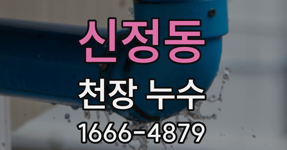 신정동 천장 누수