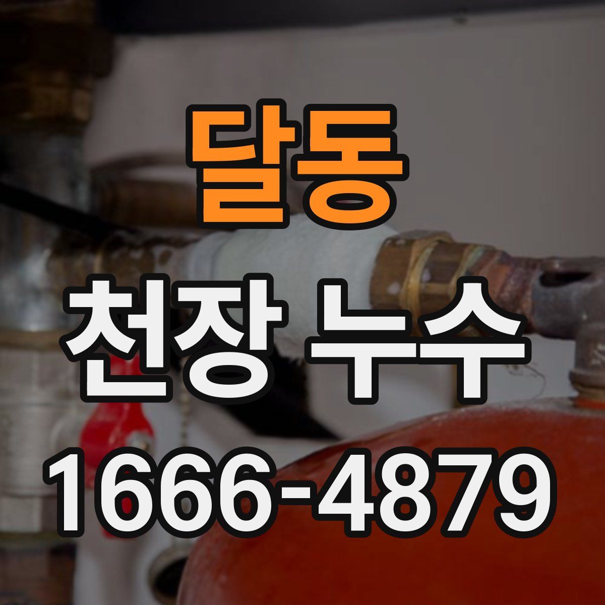 달동 천장 누수