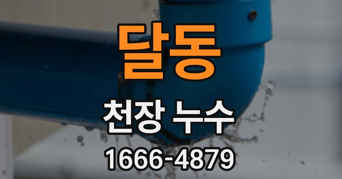 달동 천장 누수