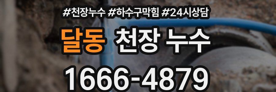 달동 천장 누수