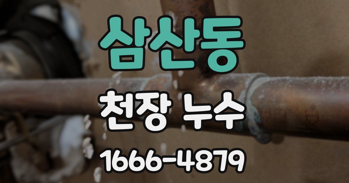 삼산동 천장 누수