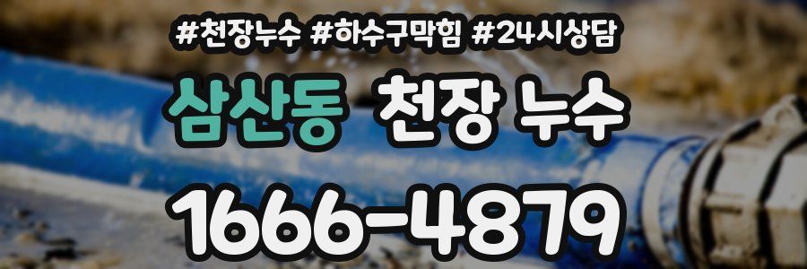 삼산동 천장 누수