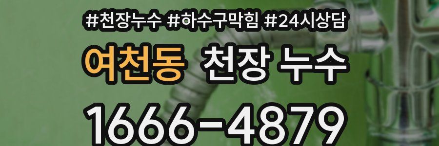 여천동 천장 누수