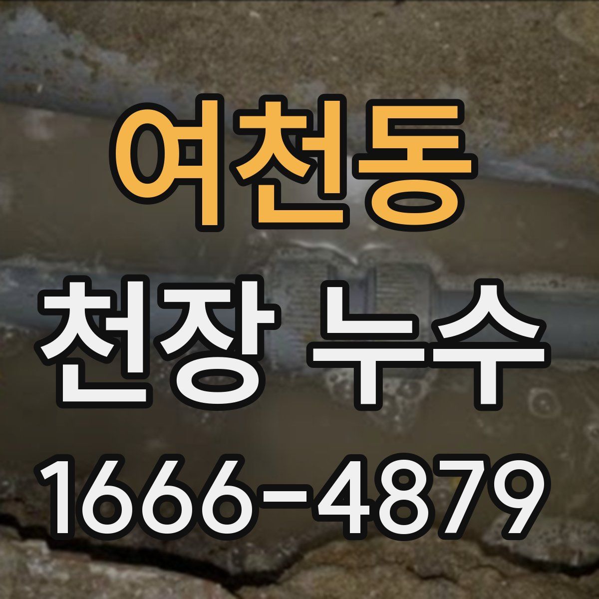 여천동 천장 누수