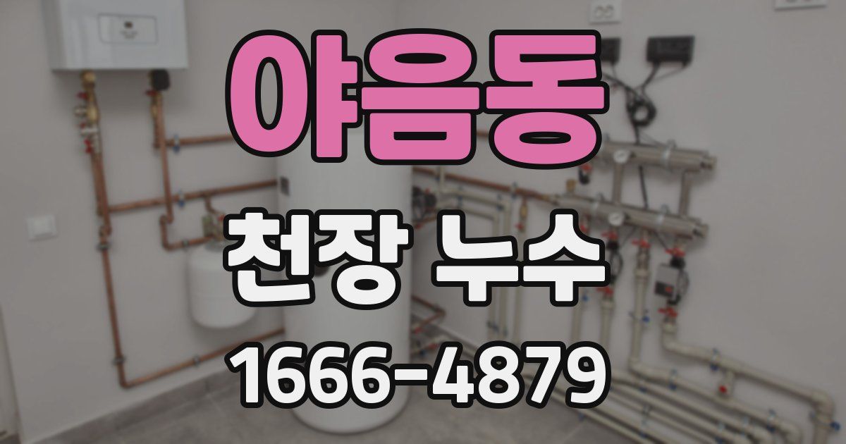 야음동 천장 누수