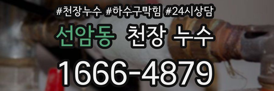 선암동 천장 누수