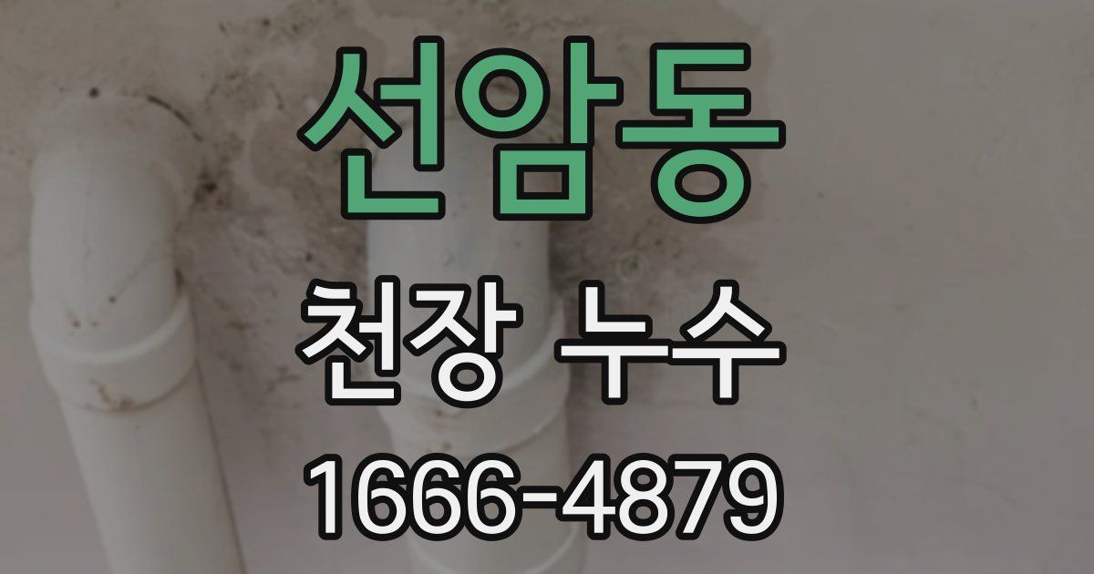 선암동 천장 누수