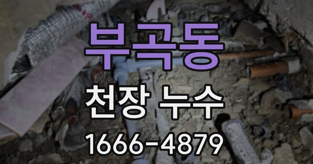 부곡동 천장 누수