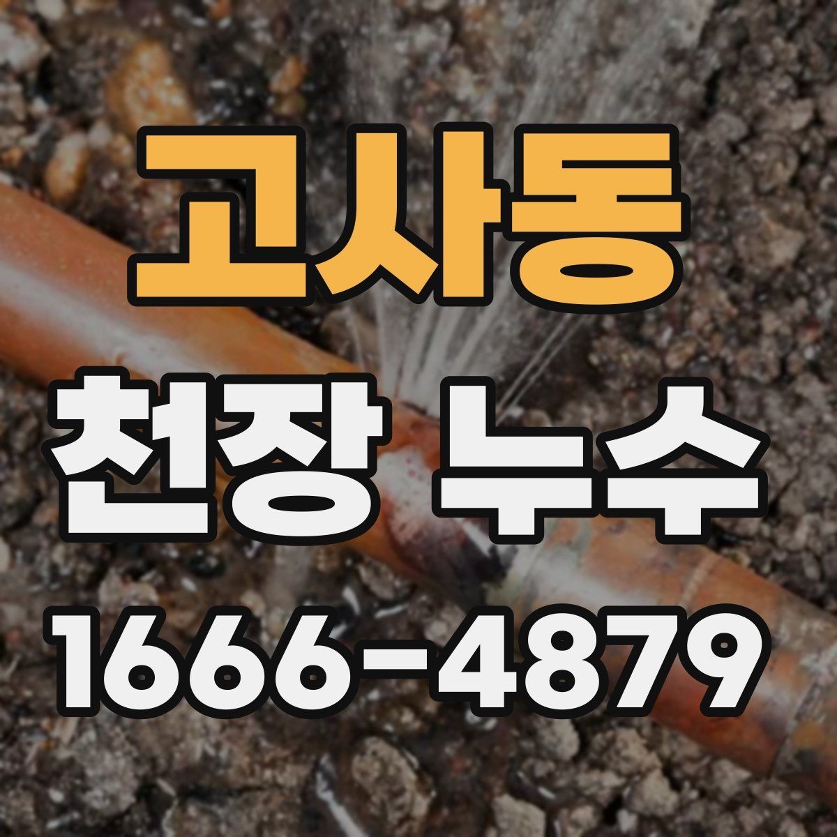 고사동 천장 누수 도배·페인트 손상 막는 방법
