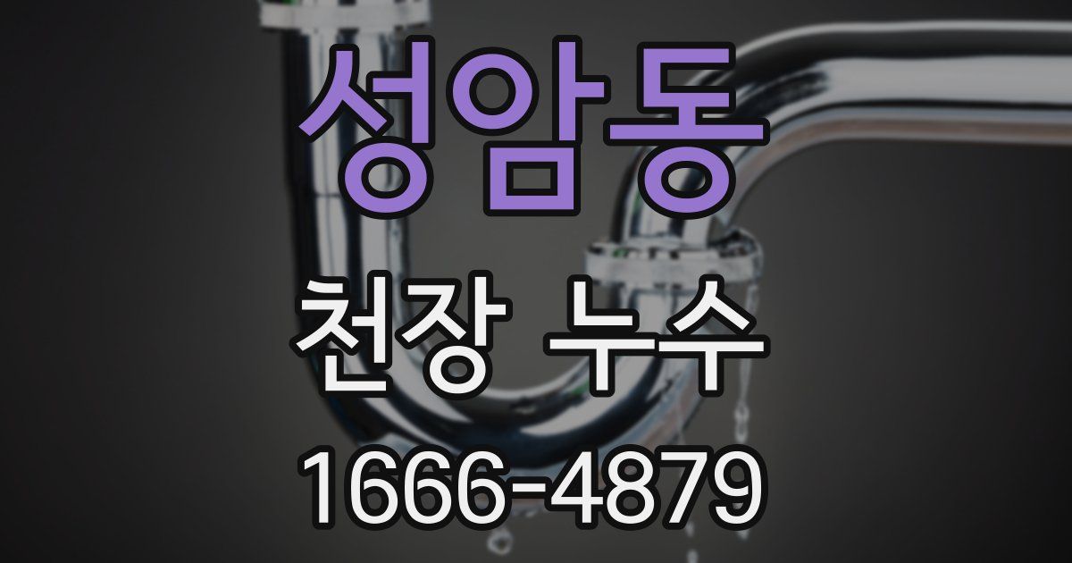 성암동 천장 누수