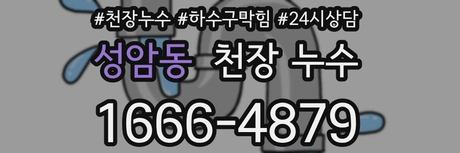 성암동 천장 누수