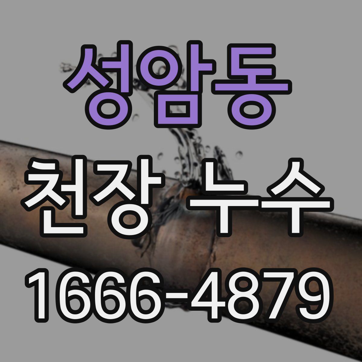 성암동 천장 누수