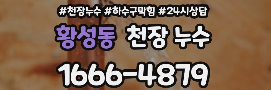 황성동 천장 누수