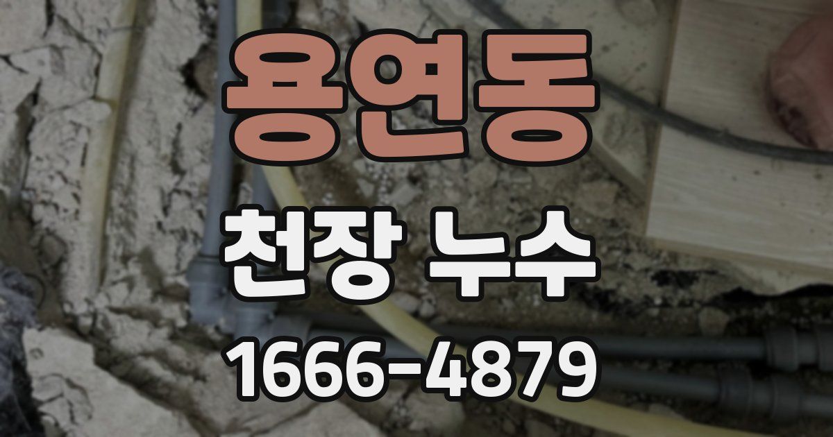 용연동 천장 누수