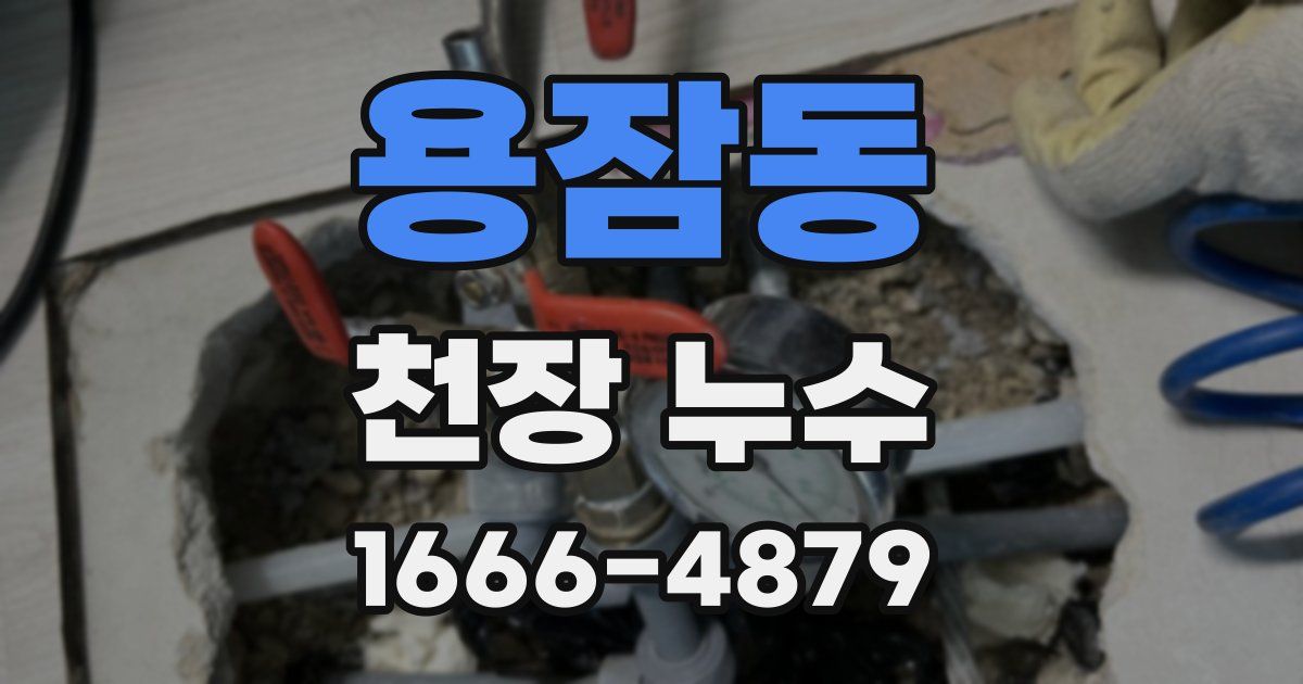 용잠동 천장 누수