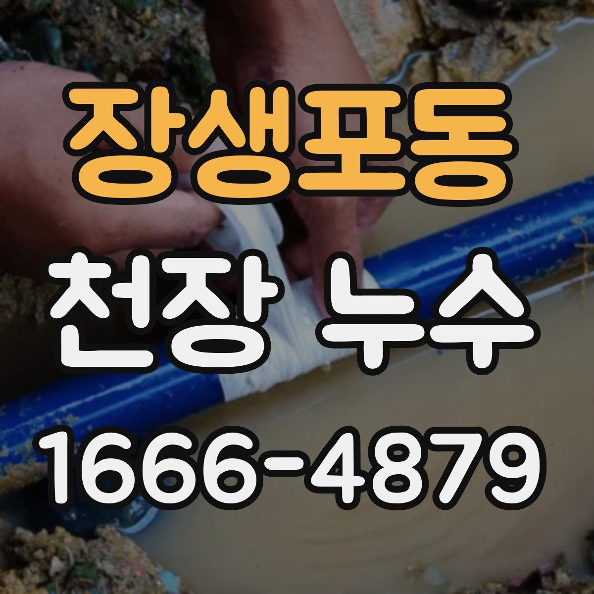 장생포동 천장 누수