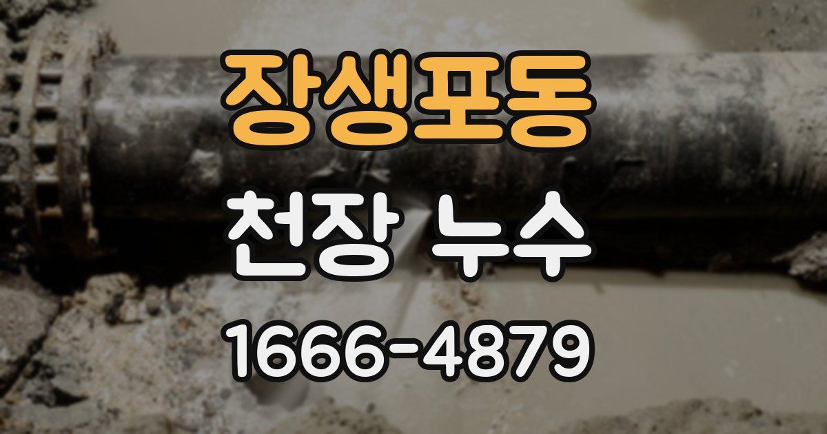 장생포동 천장 누수