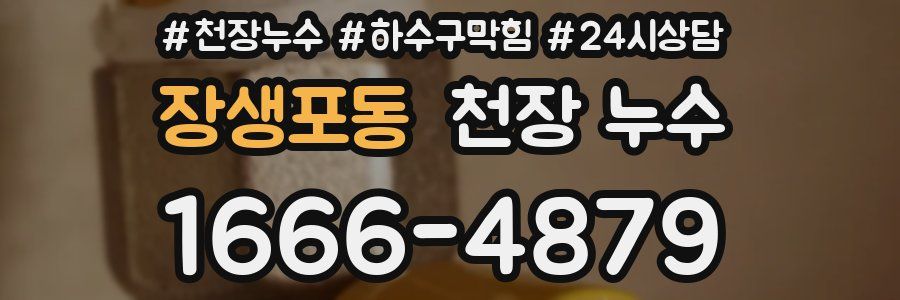 장생포동 천장 누수