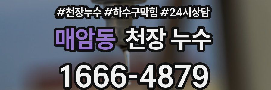 매암동 천장 누수