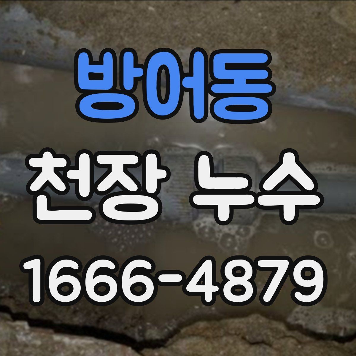 방어동 천장 누수 천장에 구멍 내기 전 반드시 확인할 것