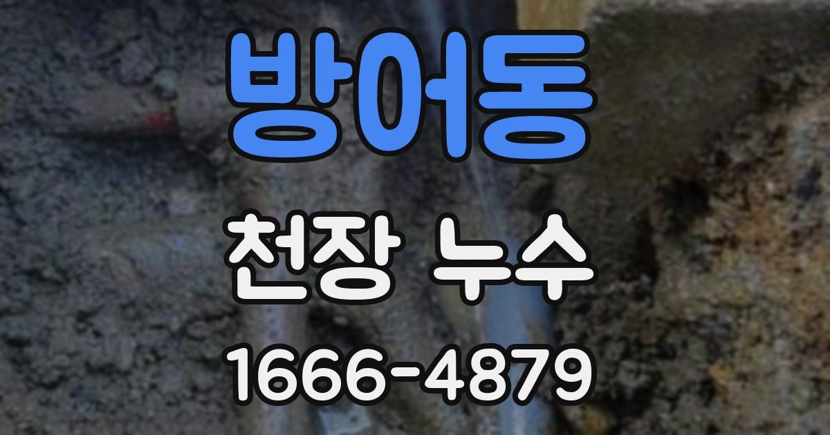 방어동 천장 누수