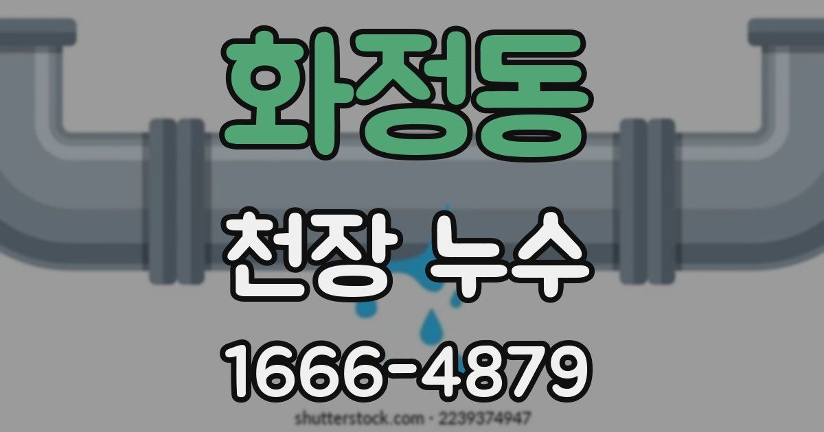 화정동 천장 누수