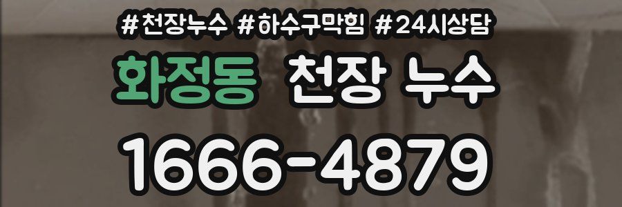 화정동 천장 누수