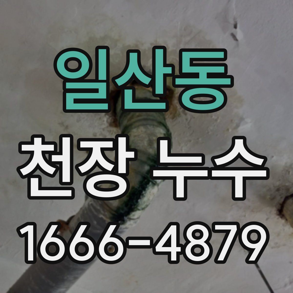 일산동 천장 누수 샹들리에·등 주변 물기 발견 시 대처법