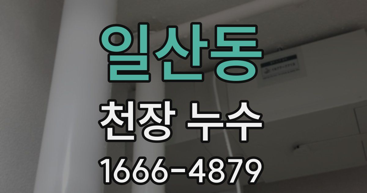 일산동 천장 누수