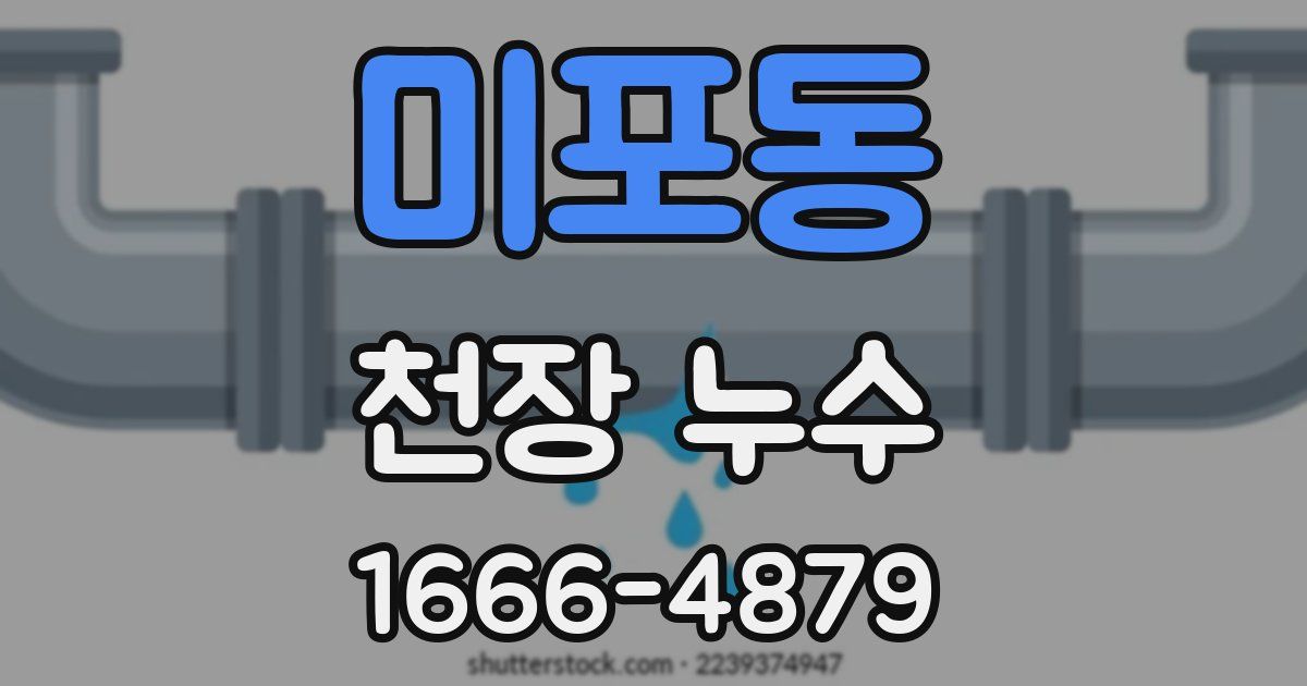 미포동 천장 누수