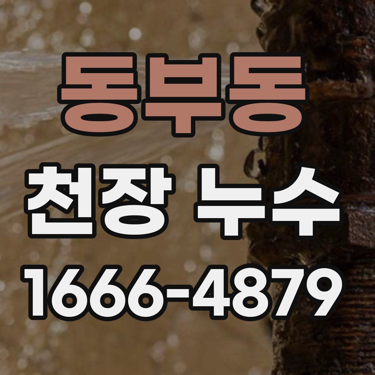 동부동 천장 누수 천장 곰팡이 냄새가 심해지면 원인 확인