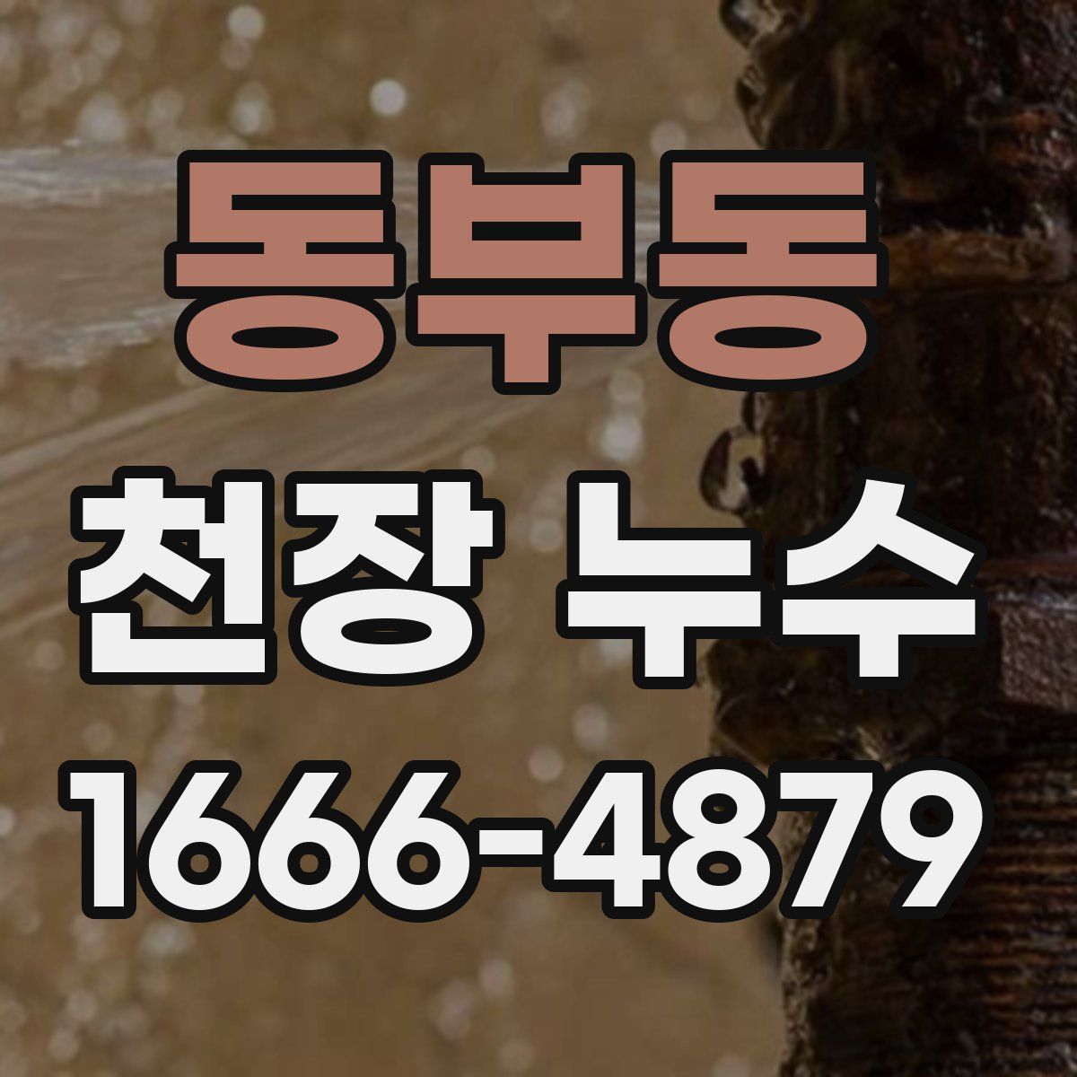 동부동 천장 누수