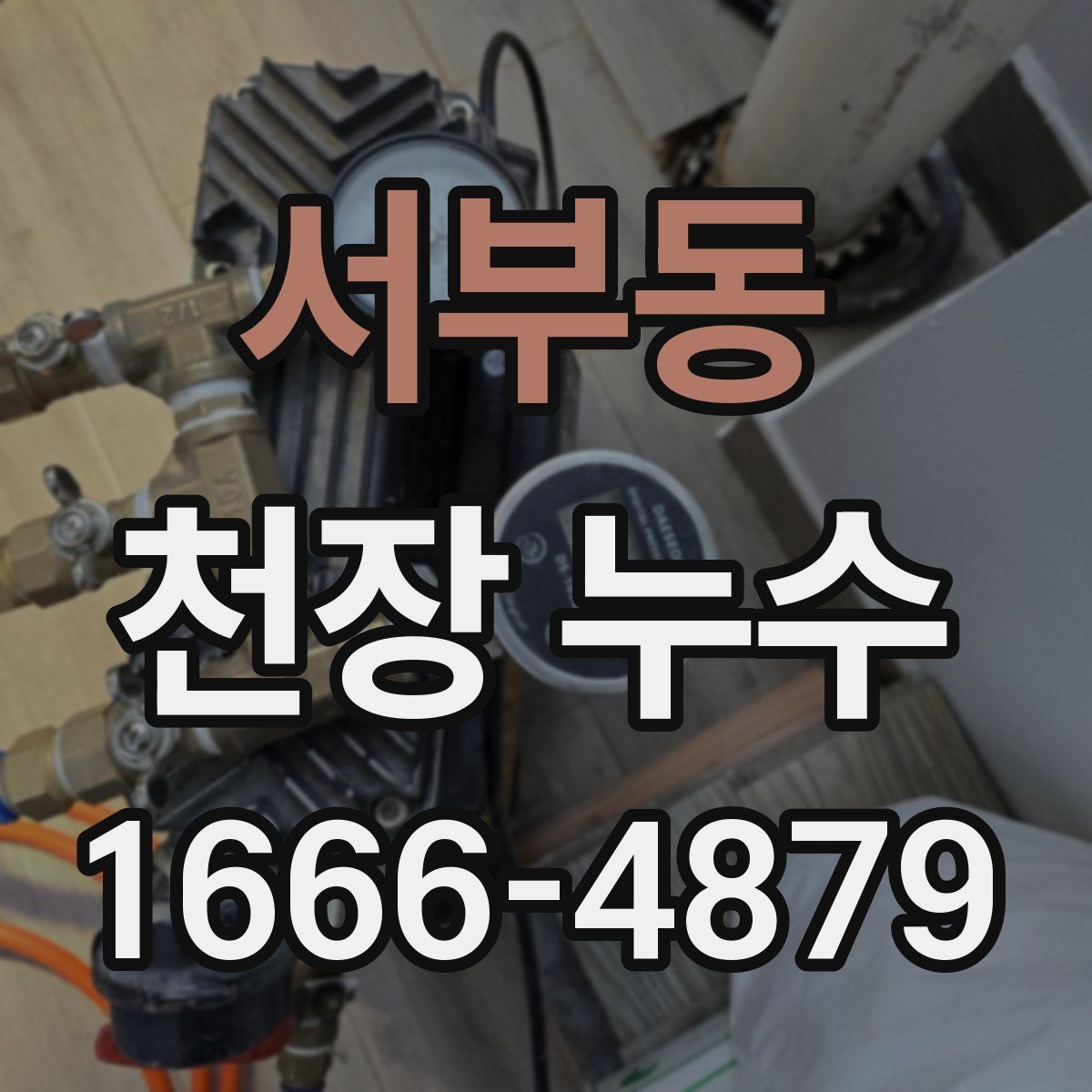 서부동 천장 누수